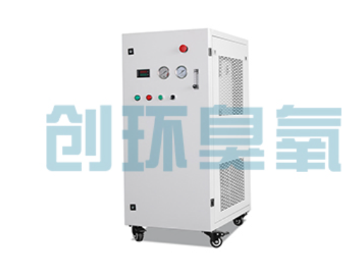 海兴石斑鱼养殖水质调控完整指南：臭氧发生器配置与操作步骤