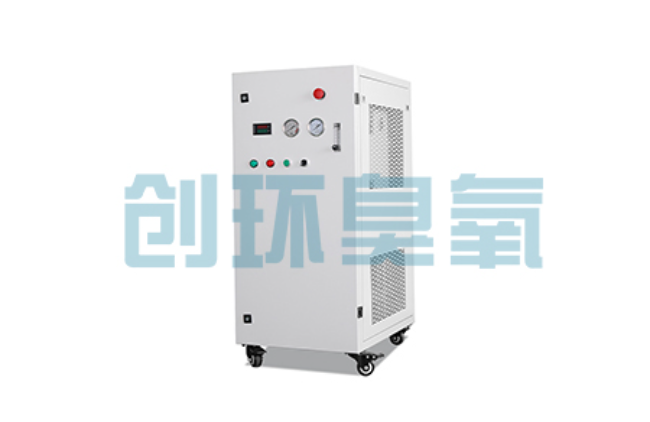 海兴比传统换水更高效？臭氧发生器在石斑鱼养殖中的水质净化原理解析