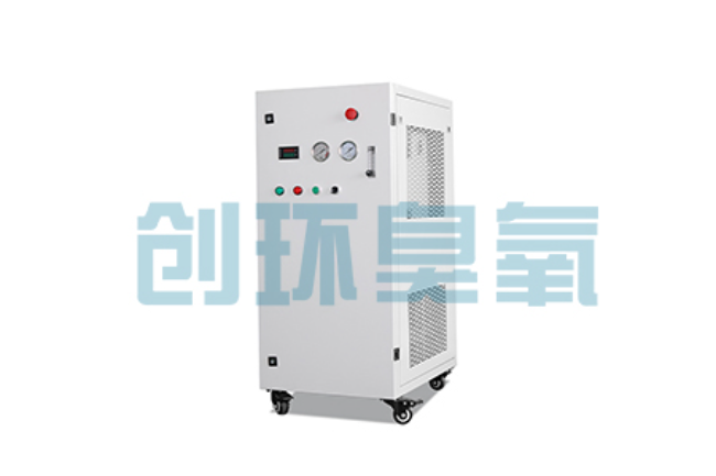 海兴比传统换水更高效?臭氧发生器在石斑鱼养殖中的水质净化原理解析